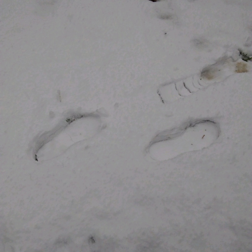 Meet your Posher, Marian